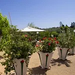 Trullo Nonna Rosa Antonelli