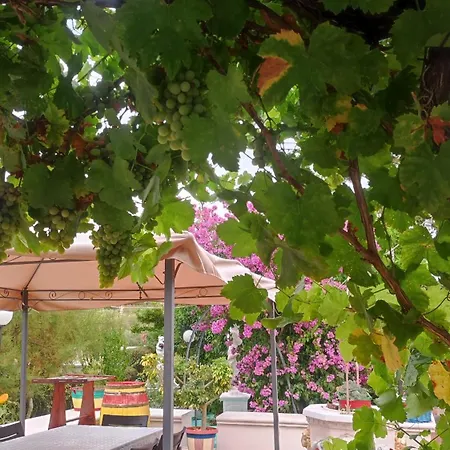 Trullo Nonna Rosa 公寓 *