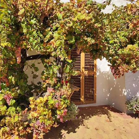 公寓 Trullo Nonna Rosa Antonelli