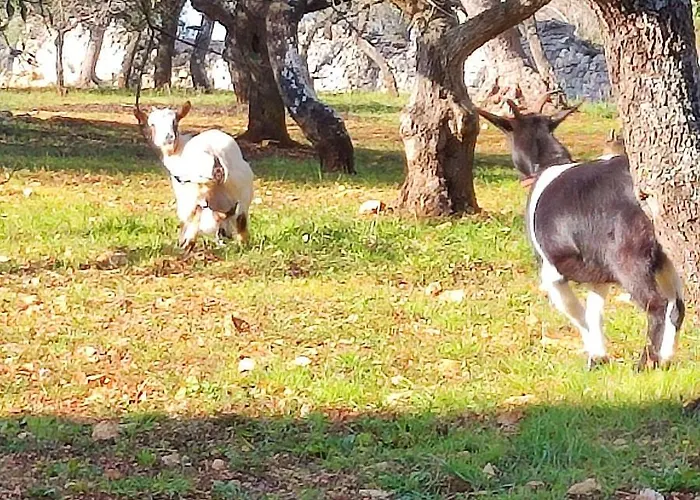 Trullo Nonna Rosa Antonelli